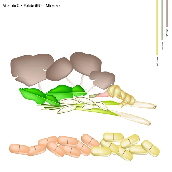 Tom Yum Ingredient with Vitamin C, B9 and Minerals — Stockvector