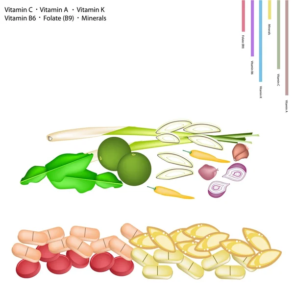 Hierbas tailandesas con vitamina C, A, K, B6 y B9 — Vector de stock