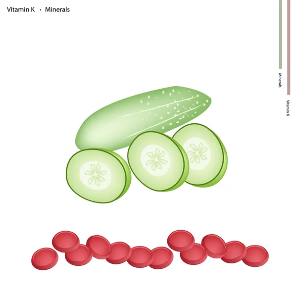 Pepino verde com vitamina K e minerais — Vetor de Stock