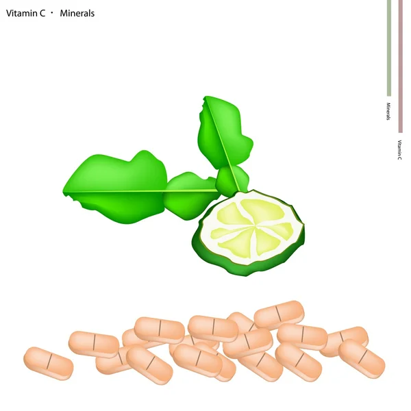 Fresh Kaffir Limes with Vitamin C and Minerals — 图库矢量图片