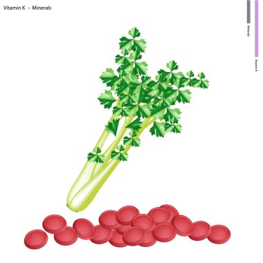 Fresh Green Celery with Vitamin K and Minerals