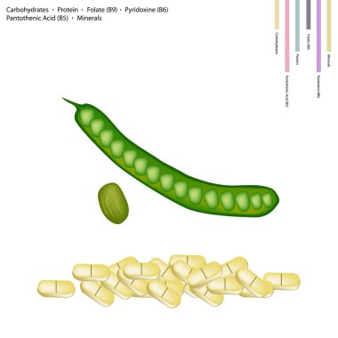 Fresh Twisted Cluster Bean with Vitamin B9, B6 and B5