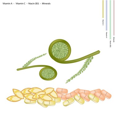 Devekuşu fern ile a vitamini, c vitamini ve b3 vitamini