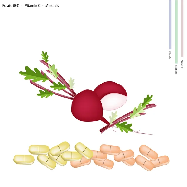 Beetroot with Vitamin C, B9 and Minerals — Stock Vector