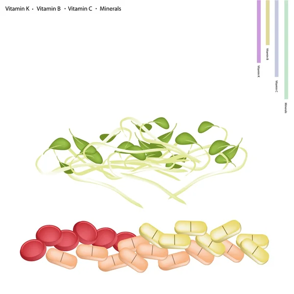 Germes de haricots avec vitamine K, vitamine B et vitamine C — Image vectorielle