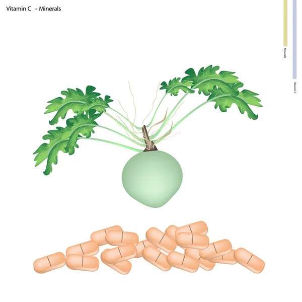 Kohlrabi fresco con vitamina C y minerales — Vector de stock