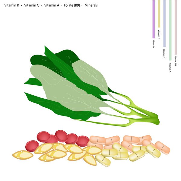 Fresh Chinese Broccoli with Vitamin K, C, A and B9