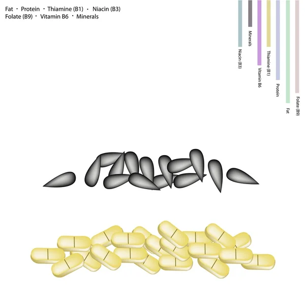 Schwarzer Sesam mit Fett, Eiweiß, Vitamin B und Mineralstoffen — Stockvektor