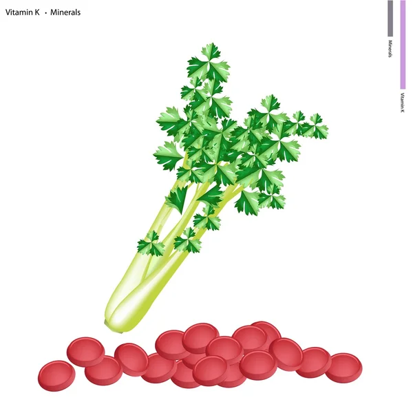 Fresh Green Celery with Vitamin K and Minerals — Stock Vector