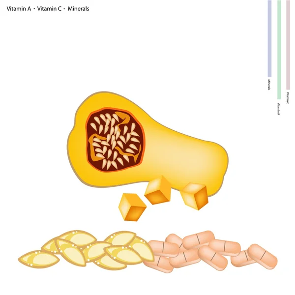 Calabaza de mantequilla madura con vitamina A, C y minerales — Vector de stock