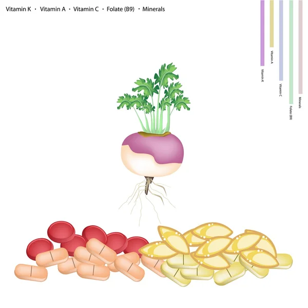 Navets frais aux vitamines K, A, C et B9 — Image vectorielle