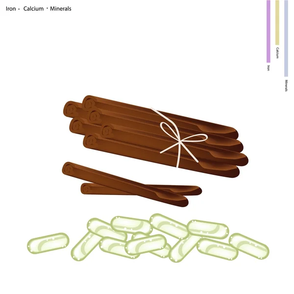 Dry Cinnamon Sticks with Minerals and Pill — Stockový vektor
