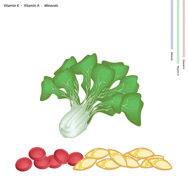 Pok Choi with Vitamin K and Vitamin A — Stock Illustration Pok Choi with Vitamin K and Vitamin A Royalty Free Stock Illustrations