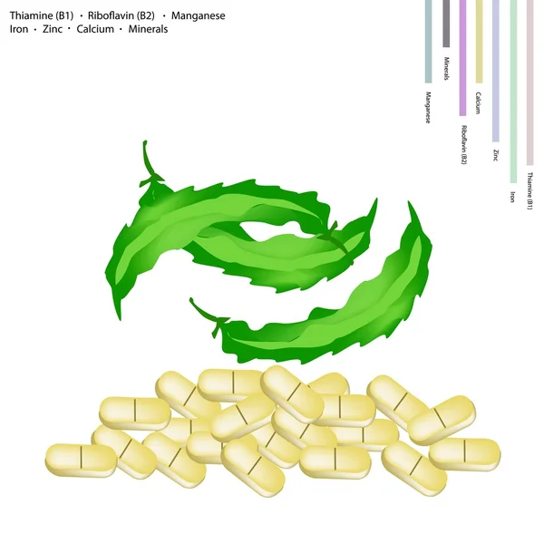 Φτερωτό beanswith βιταμίνη b1 και b2 βιταμίνη — Διανυσματικό Αρχείο