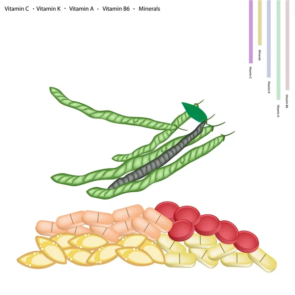 Haricots verts aux vitamines C, K, A et B — Image vectorielle