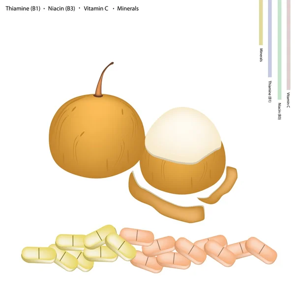 Santol Fruit with Vitamin C, B1 and B3 — 图库矢量图片