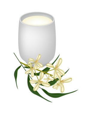 Turuncu tatlı Osmanthus çiçek ve yeşil yaprakları