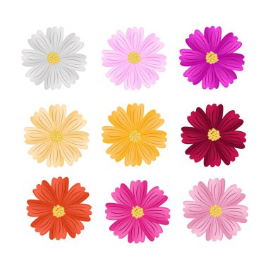 9 Assorted Cosmos Flowers on White Background clipart