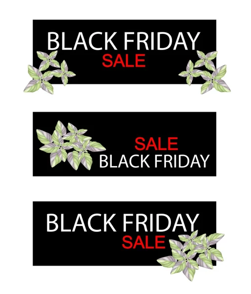 Acanthaceae Plant on Black Friday Sale Banner — Stock Vector