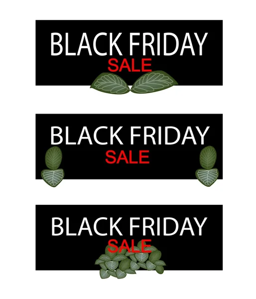 Bannière de vente de plantes nerveuses le vendredi noir — Image vectorielle