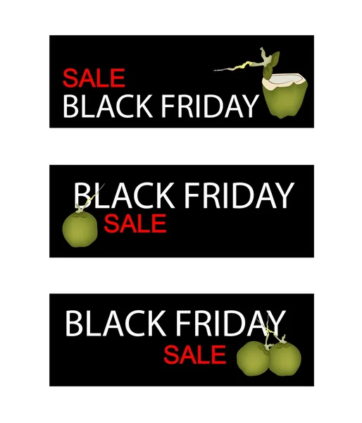 Banner zum Verkauf von Kokosfrüchten am Black Friday — Stockvektor