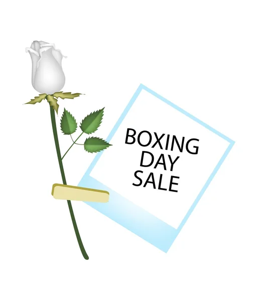 Boxing Day of Photo Frames with White Rose — Stock vektor