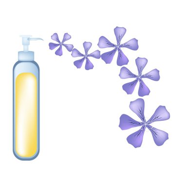 Essential oil and Violet Rose Geraniumor Pelargonium Graveolens