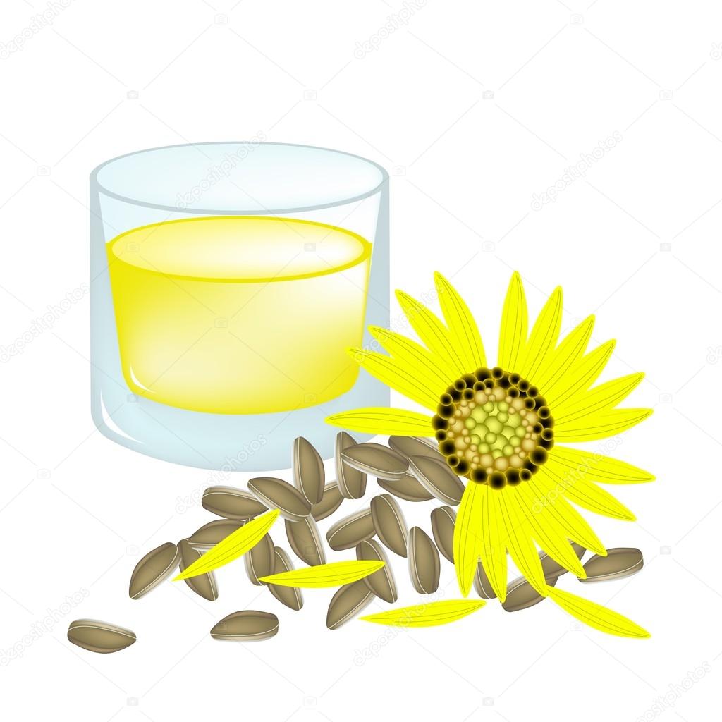 Glass of Sunflower Oil and Yellow Sunflower with Seed