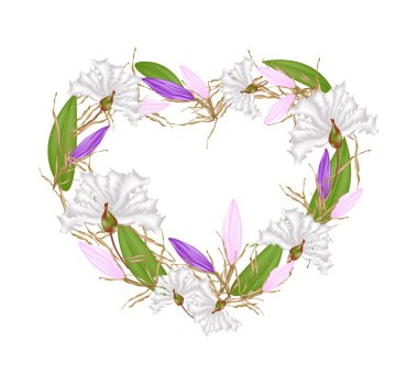 Krep Myrtle ve kalp şeklinde Equiphyllum çiçekler
