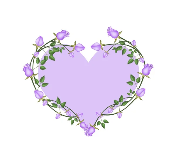 Purple Roses Flowers in A Heart Shape