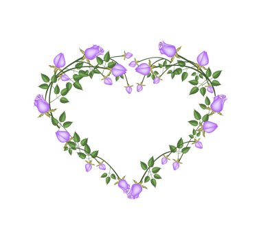 Beautiful Purple Roses Flowers in Heart Shape