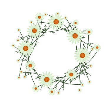 Beautiful Light Green Daisy Wreath on White Background