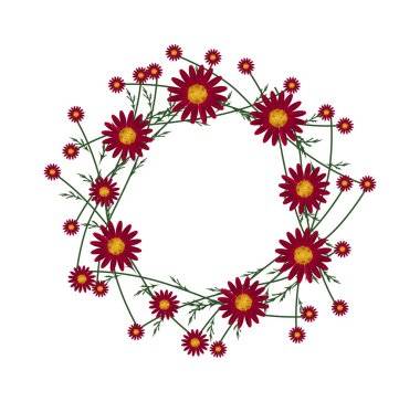 Beautiful Red Daisy Wreath on White Background