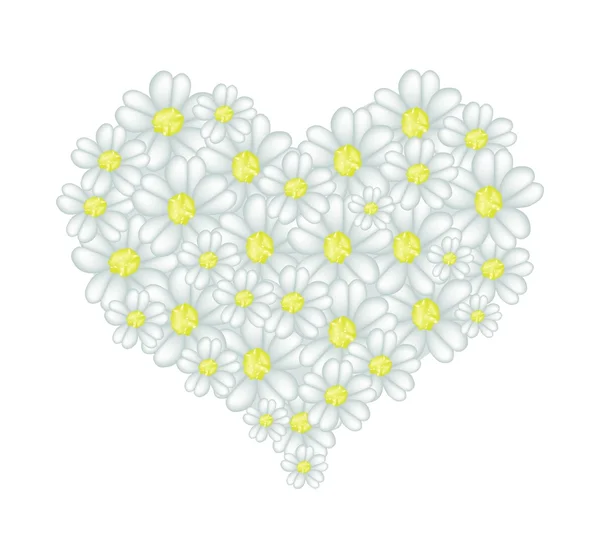 White Yarrow Flowers in A Heart Shape — Stock Vector