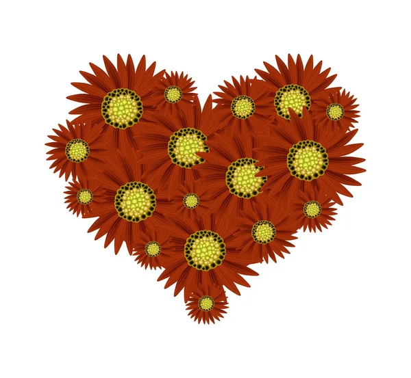 Beautiful Red Sunflower in A Heart Shape — Wektor stockowy