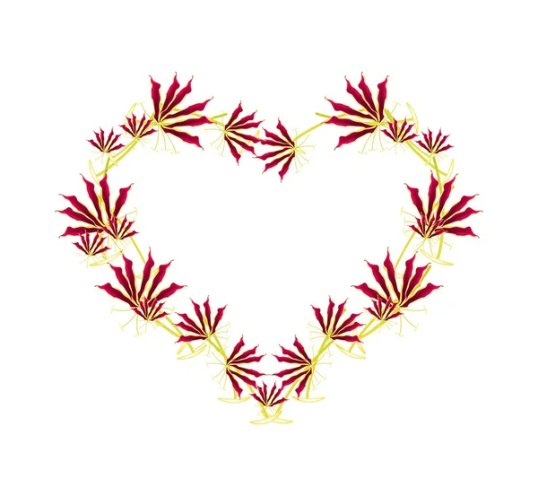 Flame Lily or Gloriosa Superba Flower in Heart Shape — Stockvector