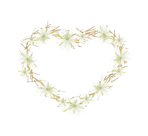 White Equiphyllum Flowers in Heart Shape Frame — Stock Vector
