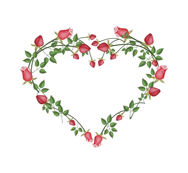 Beautiful Red Roses Flowers in Heart Shape — Stockvector