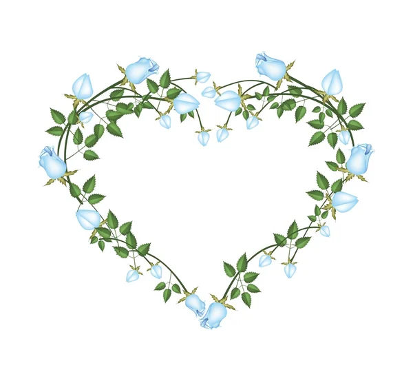 Hermosas flores de rosas azules en forma de corazón — Vector de stock