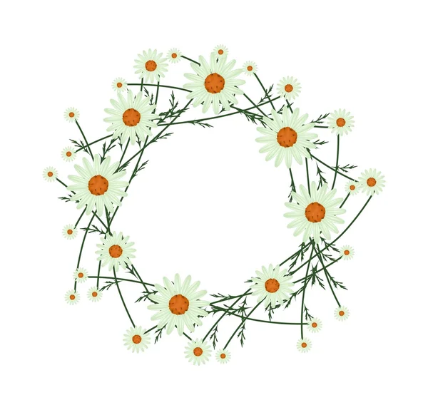 Beautiful Light Green Daisy Wreath on White Background — Stok Vektör