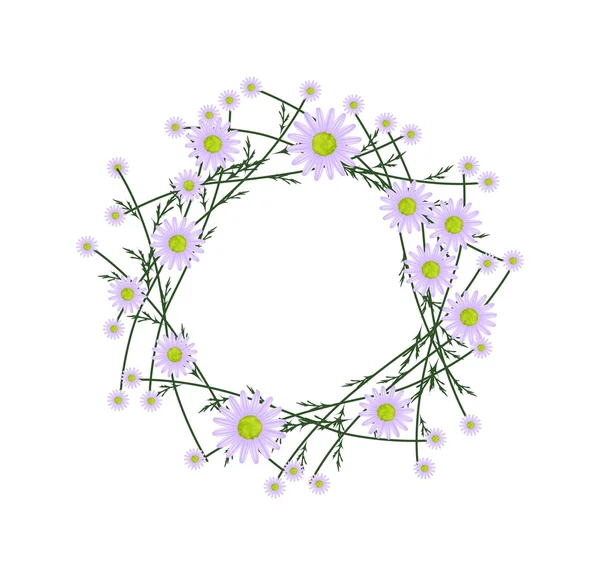 Beautiful Violet Daisy Wreath on White Background — Stock Vector