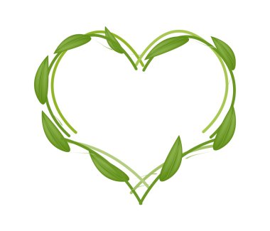 Fresh Green Leaves Forming in Heart Shape