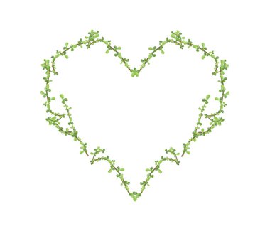 Fresh Bonsai Branches Forming in Heart Shape