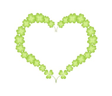 Four Leaf Clovers in A Beautiful Heart