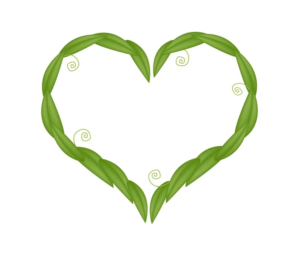 Fresh Green Leaves in A Heart Shape — Stock Vector