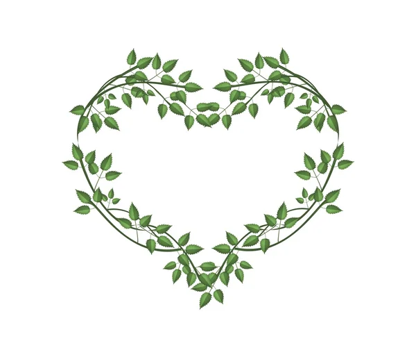 Feuilles de vigne vertes fraîches en forme de coeur — Image vectorielle