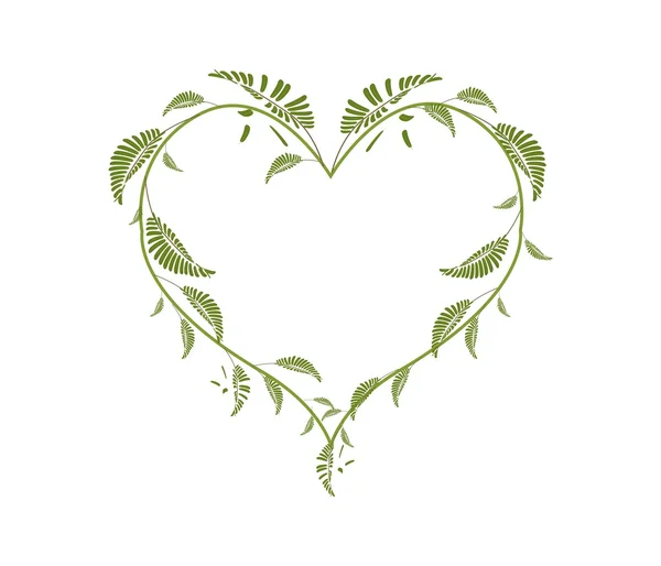 Hermosas hojas de vid verde en forma de corazón — Archivo Imágenes Vectoriales