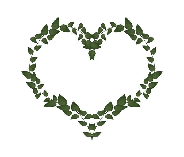 Green Vine Leaves in A Heart Shape — Stockvector