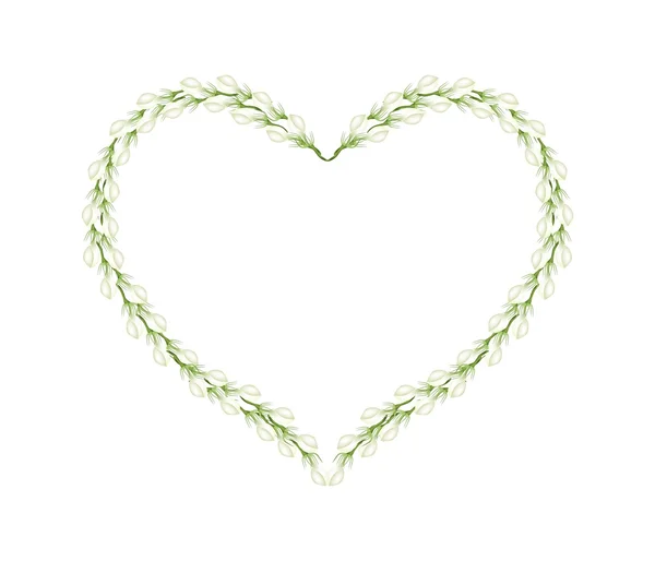 White Jasmine Flowers in Heart Shape Frame — Stockvector