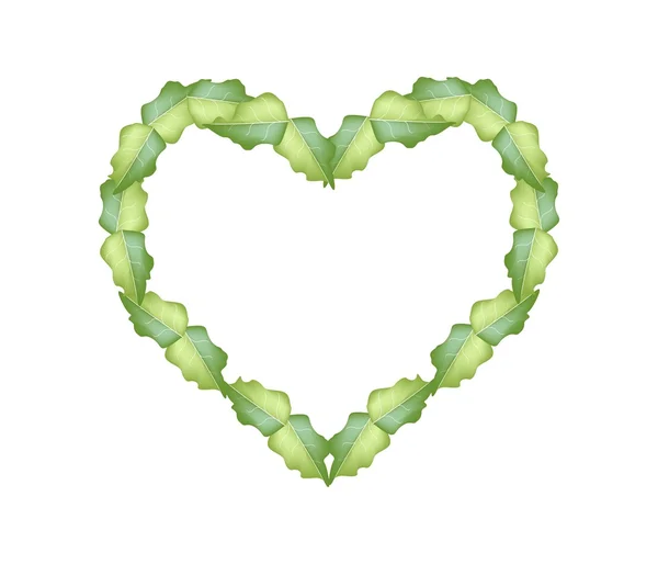 Fresh Green Leaves in Beautiful Heart Shape — Wektor stockowy